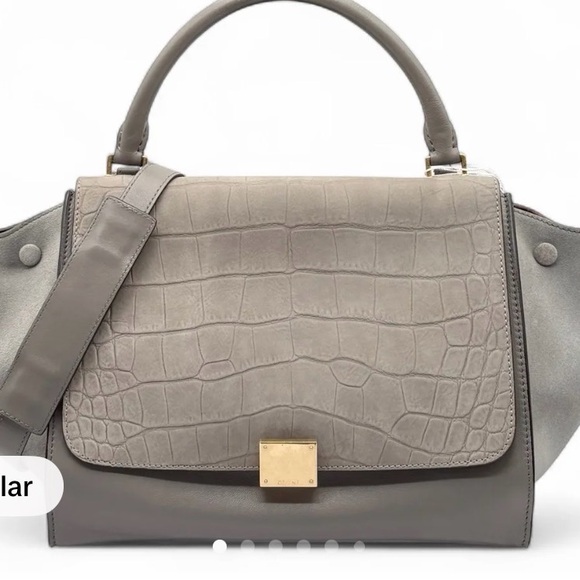 Gray Designer Handbag - Picture 1 of 7